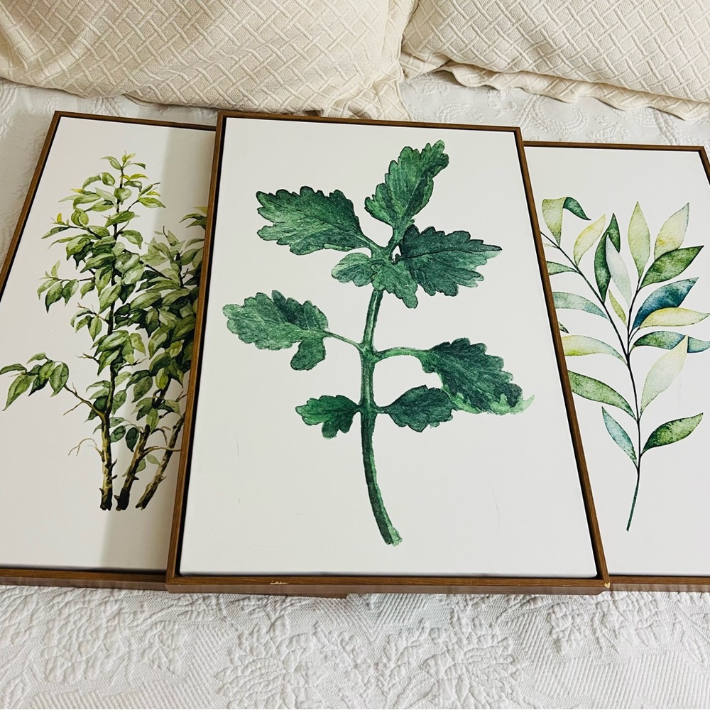 Set of Three Botanical Wall Art Prints